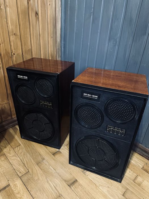 25 АС-309 акустична система