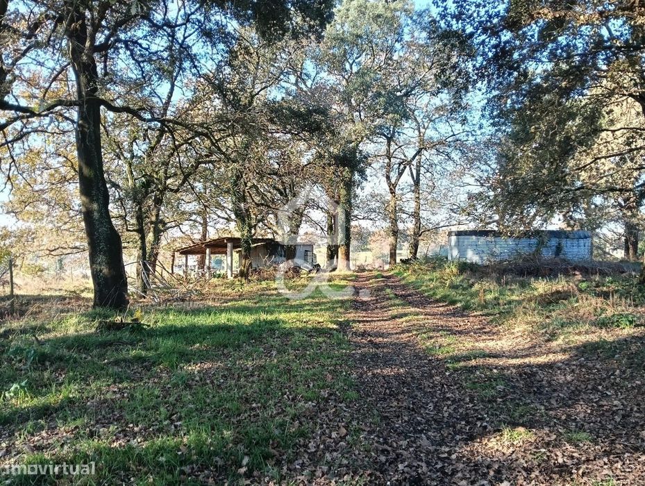 Terreno Agrícola em Bairro