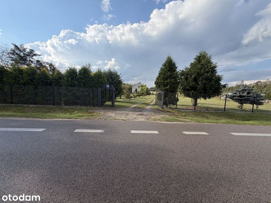 Sprzedam Działkę - 13 441 m² – Nowe Koziminy, gmina Płońsk