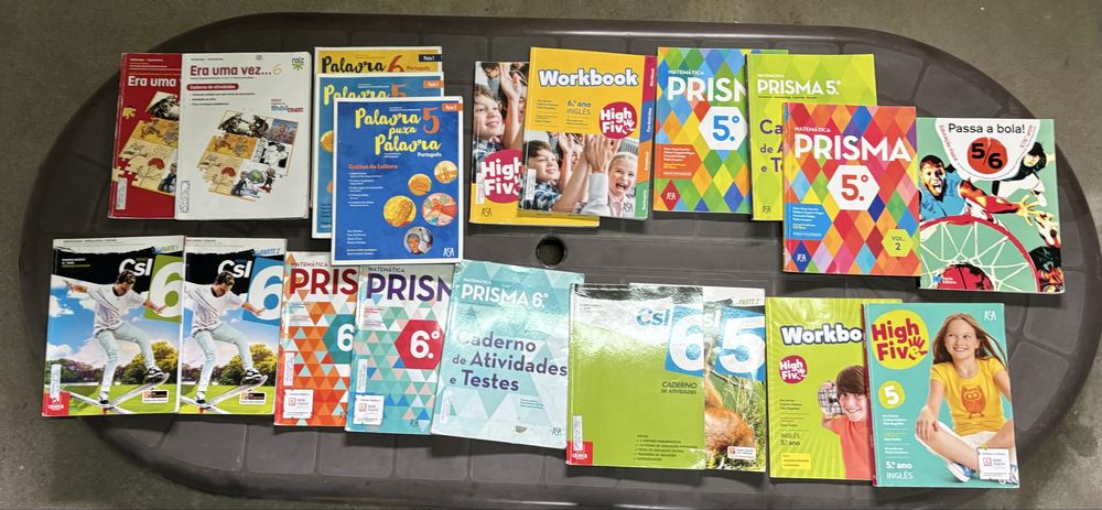 Manuais/Livros escolares (Manuais e CA) (4€)