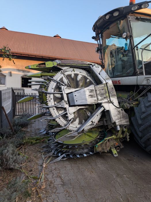 Przystawka do kukurydzy Claas orbis 600
