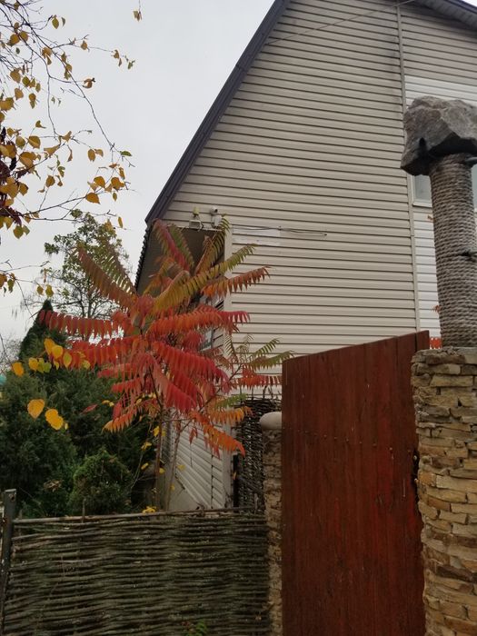 Будинок із комерцією