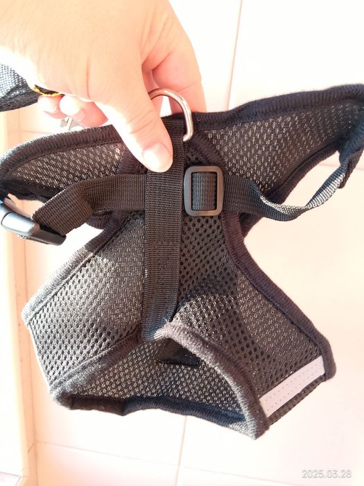 Peitoral ou arnês com trela para cão