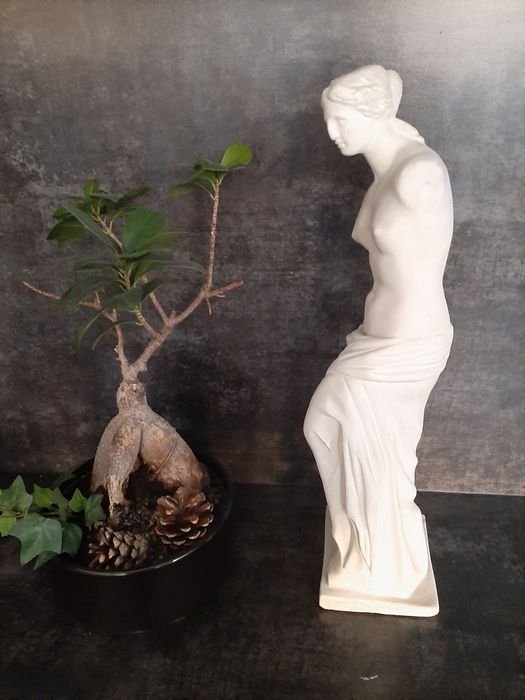 Afrodyta posąg gipsowy