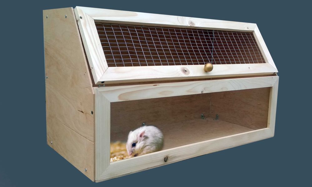 Вольер для хомяка,морской свинки.