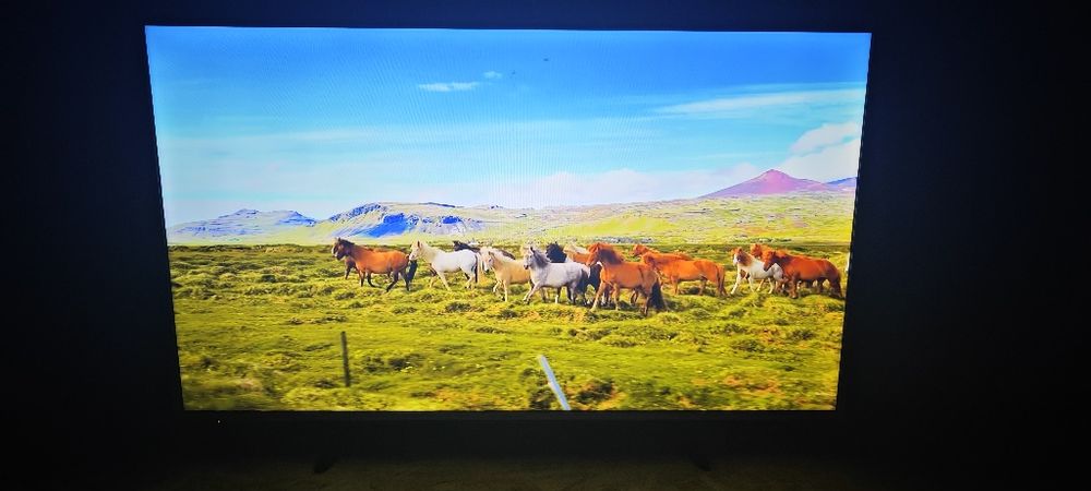 Telewizor LED 49 cali Panasonic Smart Hevc265 wifi