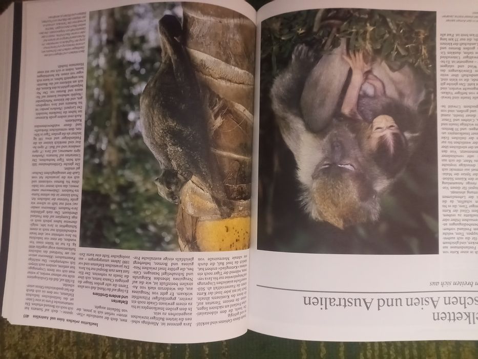 Енциклопедія Тваринний світ