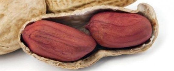 Sementes de Amendoim