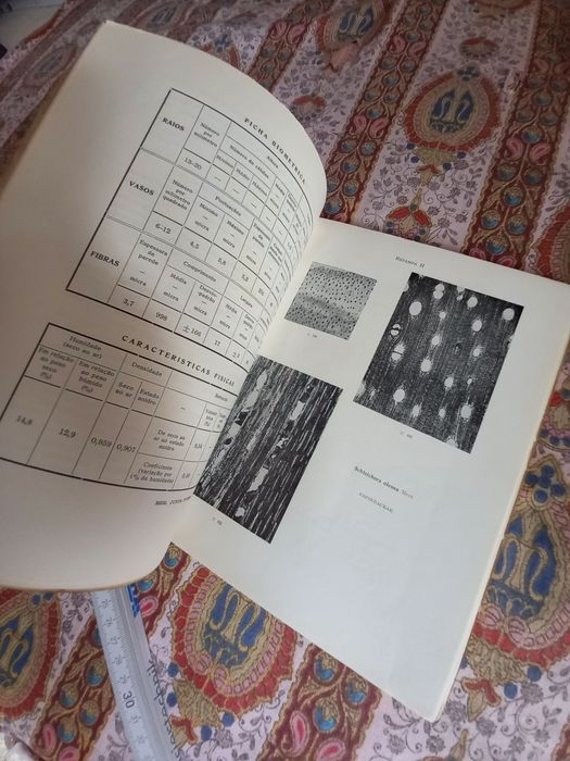 O Estudo das Madeiras de Timor 2 volumes