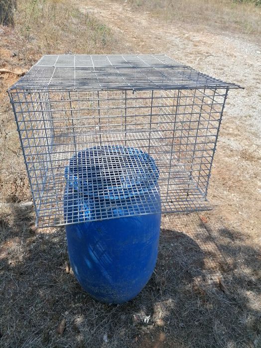 Gaiolas para animais