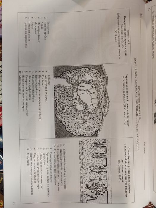 Практикум з гістології, цитології та ембріології. О.М.Гробовий, Ю.Б.Ча