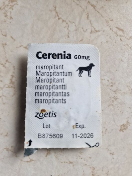 Tabletka przeciwwymiotna Cerenia dla psa na chorobę lokomocyjną