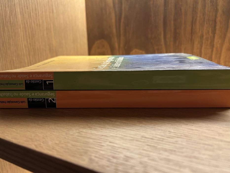 Gestão da Segurança e Saúde no Trabalho Luis Conceição Freitas