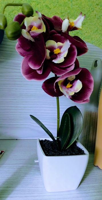 Kwiatek storczyk około 26cm nowy