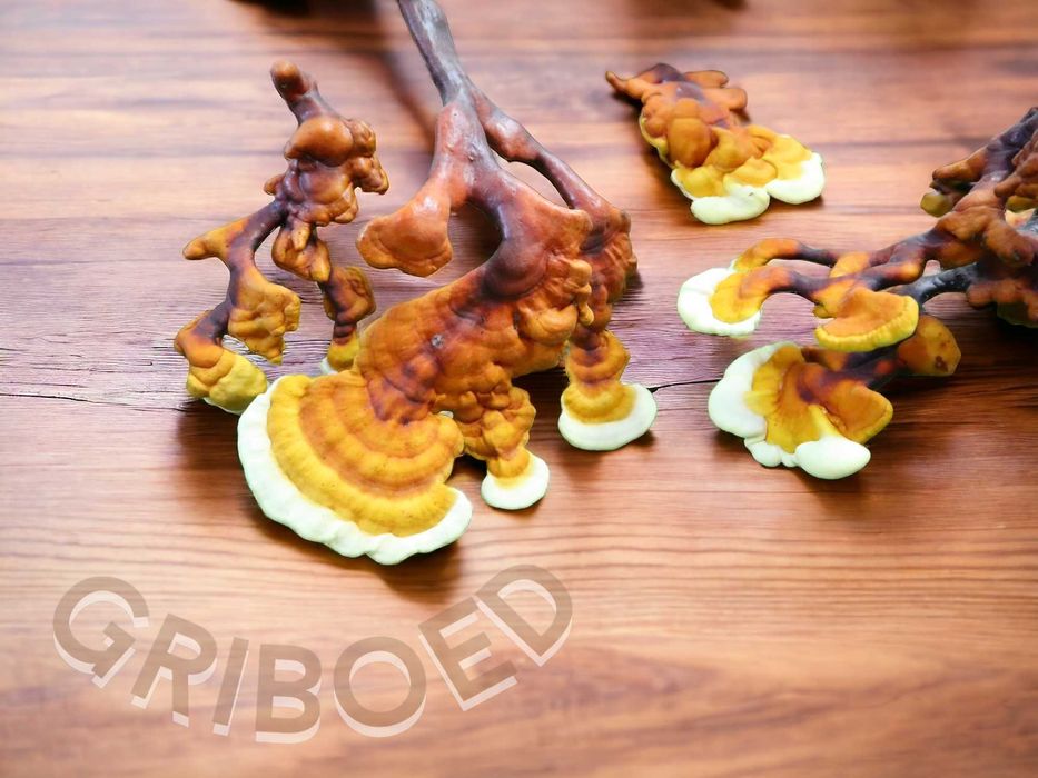 Гриб РЕЙШІ - 250 грам. Плодові тіла, перемелені на порошок.