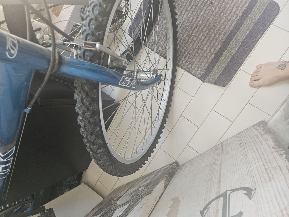 Bicicleta  adulto Gk