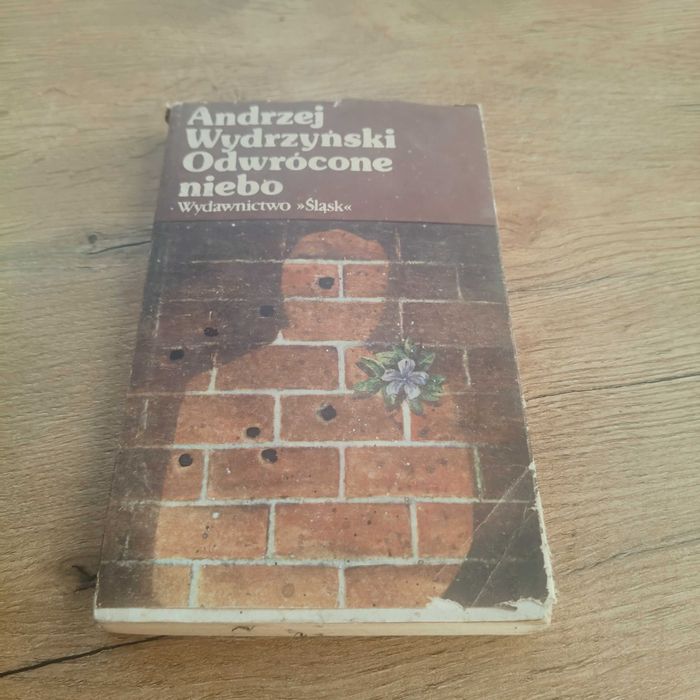 Książka Odwrócone Niebo