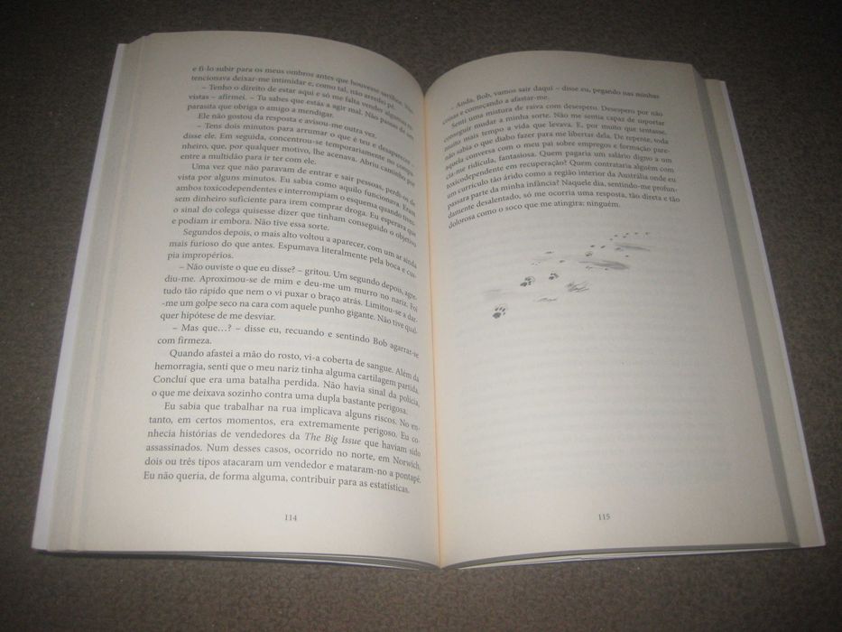 Livro “O Mundo Segundo Bob" de James Bowen