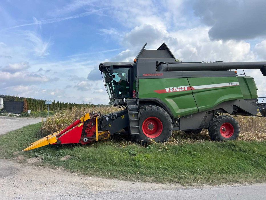 Koszenie kukurydzy + możliwość transportu do skupu