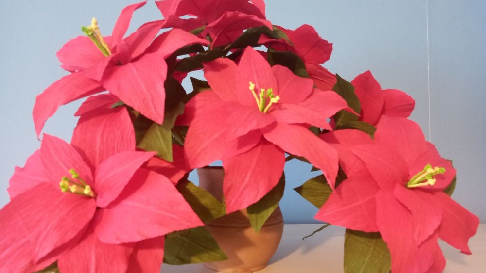 Gwiazdy betlejemskie z krepiny.