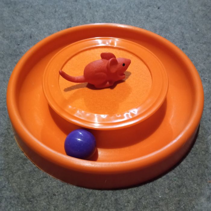 Интерактивная игра для котов