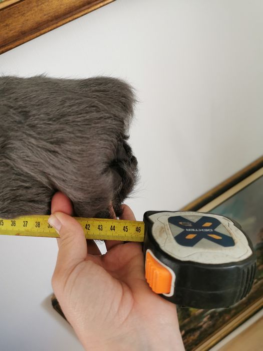 Futro damskie  naturalne r. 44-46 stan dobry