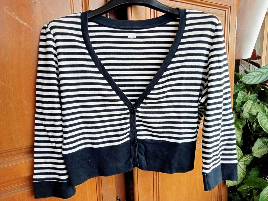 Casacos de senhora M