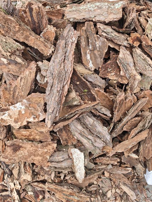 Kora sosnowa ogrodowa premium gruba