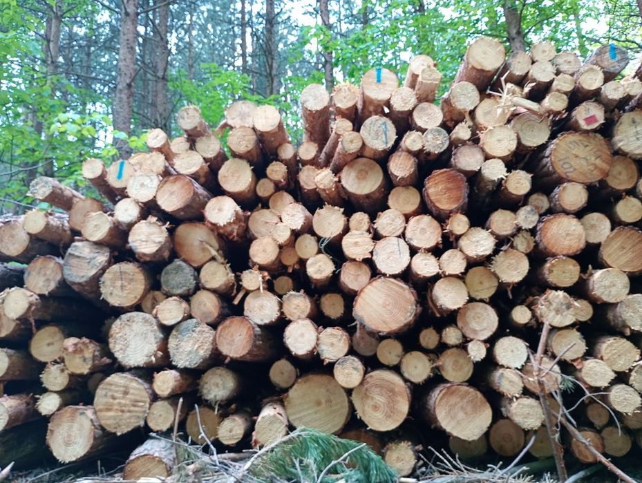 Słupki ogrodzeniowe stęple żerdzie