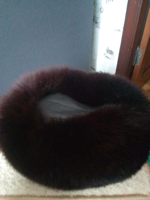 Песець фарбований в чорний!