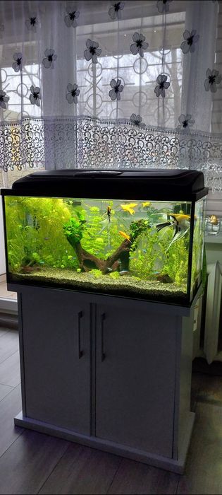 Akwarium 112 L. Z życiem,  szafką pełny zestaw.