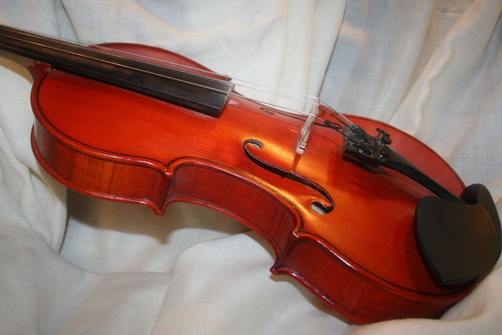 Майстрова скрипка 3/4 + чехол