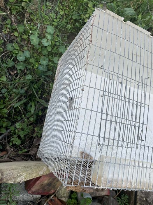 Tenho uma gaiola para vender