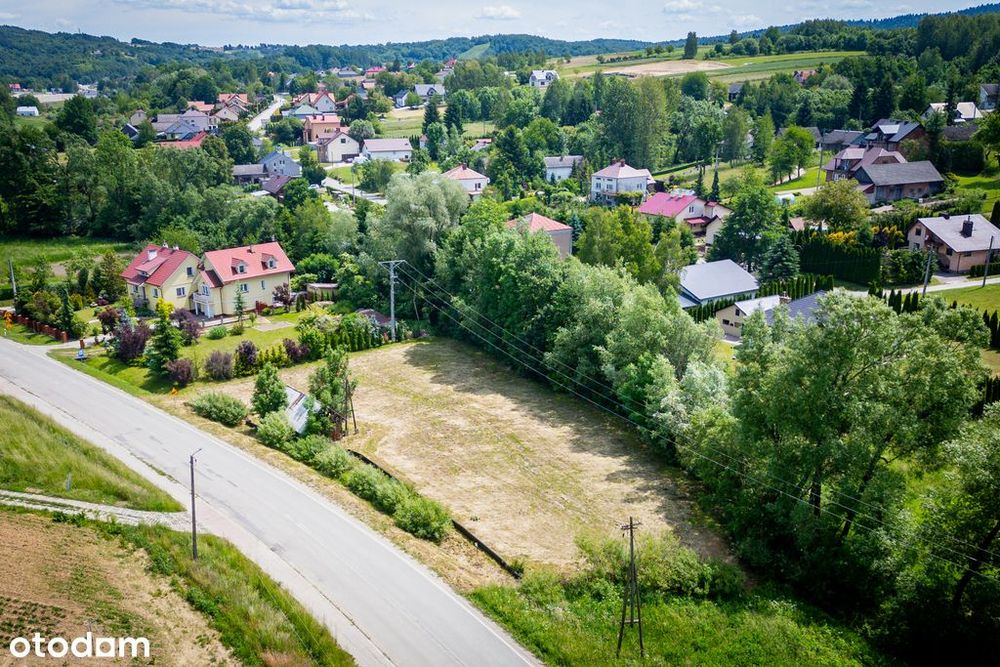 Zdjęcie 6