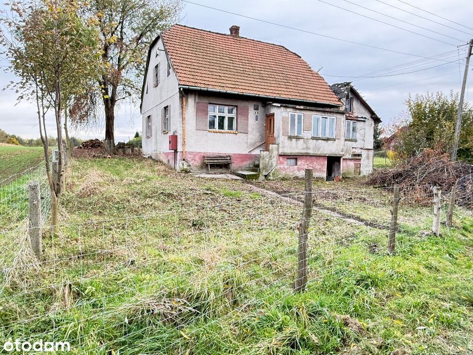 Dom wolnostojący z polem rolnym w Głębowicach