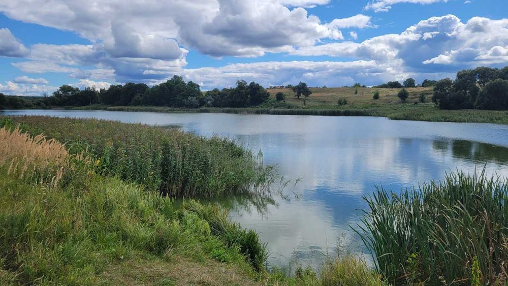 2-10га землі під ІЖБ, с.Мироцьке, Бучанська ТГ