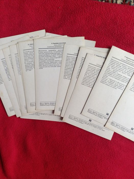 Зелёная аптека в открытках