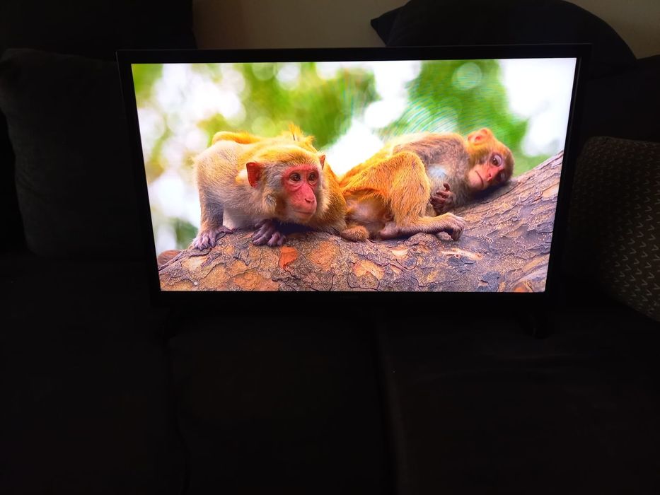 Telewizor 24 cale Android WiFi YouTube Netflix