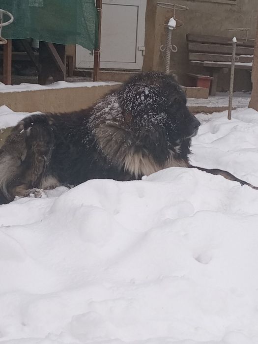 Маленькі монстри.