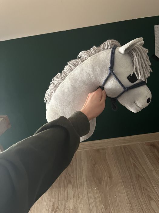 hobby horse z halterem