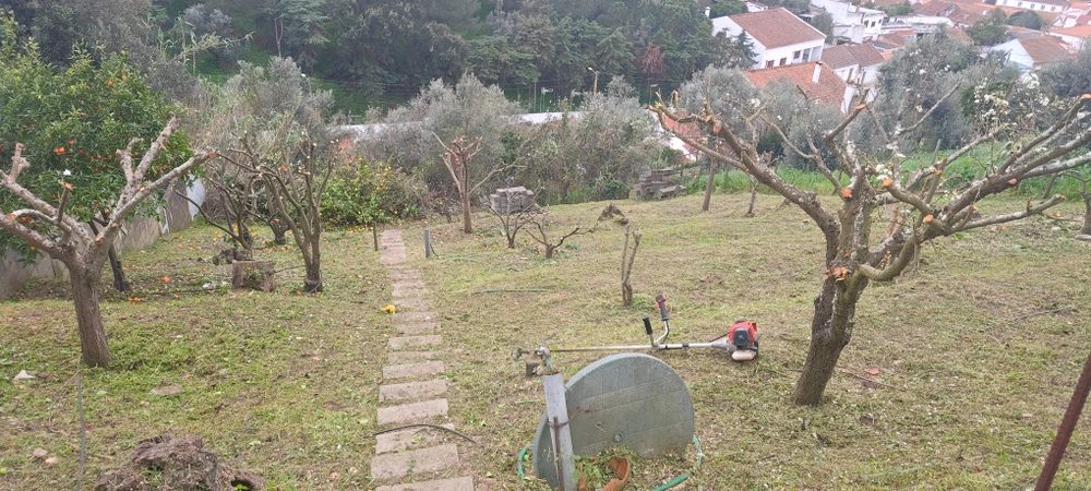 Limpeza de terrenos