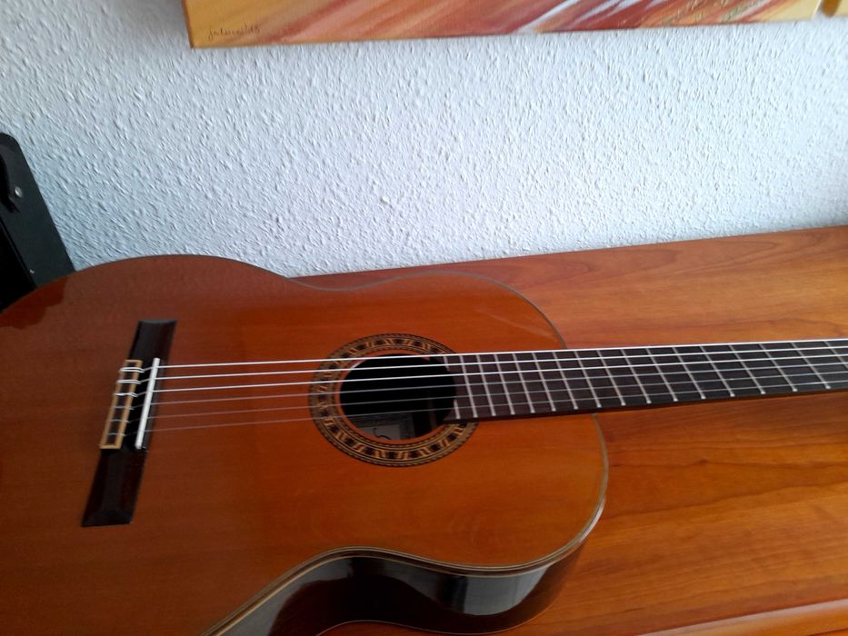Gitara Rachonsky 151