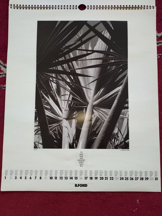Calendário de parede Ilford 1999