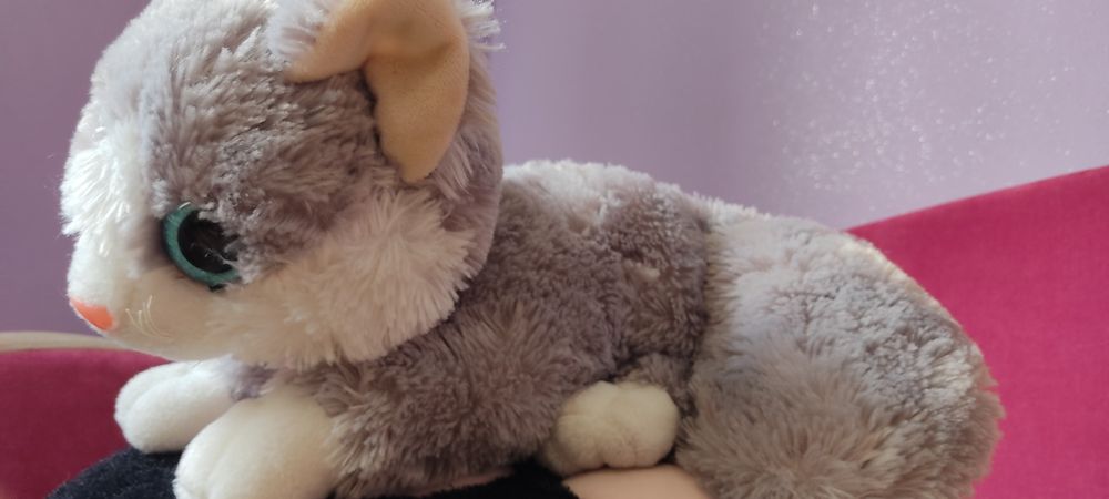 Kot pluszowy, gruby ogon