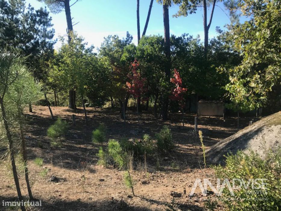 Lote de Terreno  Venda em Orgens,Viseu — Orgens, Viseu