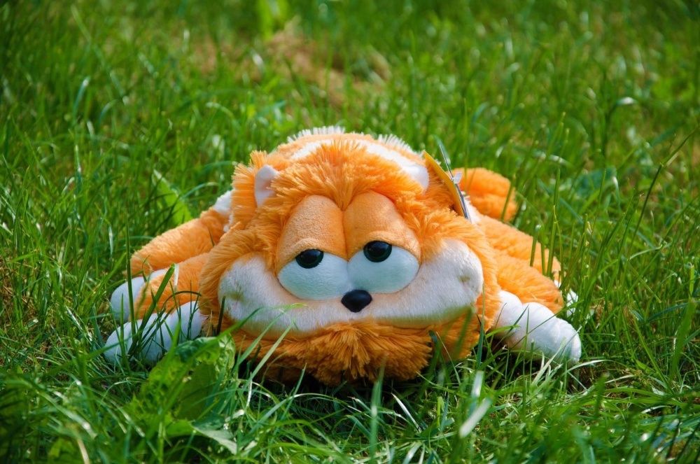 Великий м'який і дуже чарівний кіт Гарфілд.