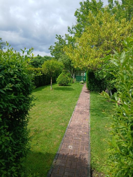 Działka rekreacyjna ROD REKREACJA KLUCZ 297 m² - Widok 3
