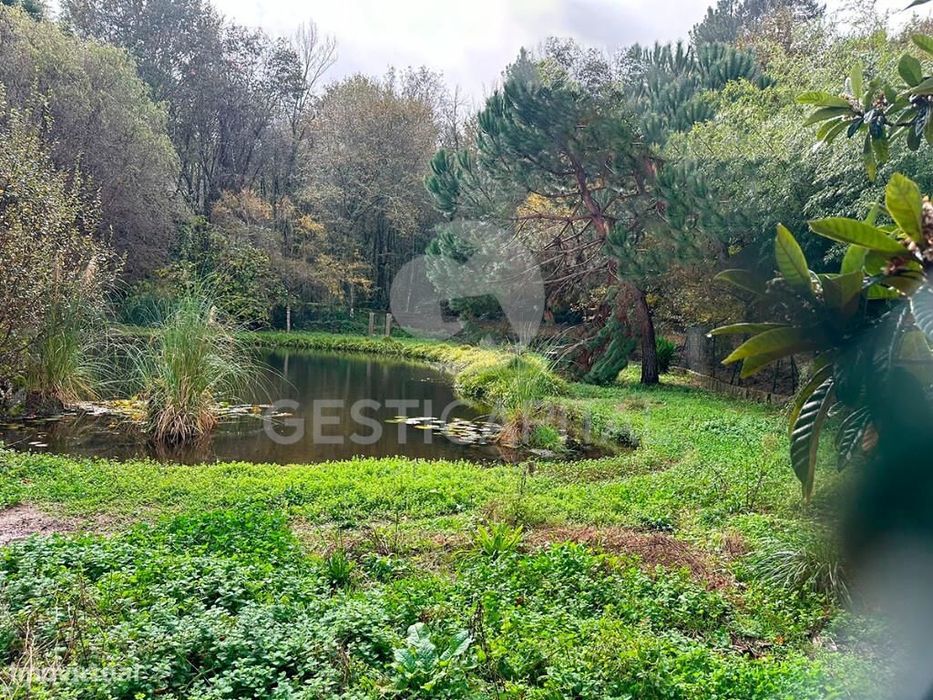 Rustic Plot with Pond in Marco – A Nature and Tranquility Retreat