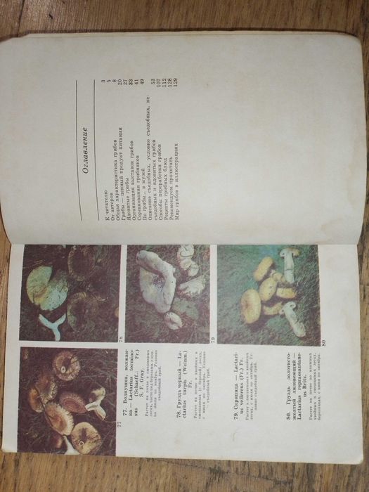 Книга Грибы, Путеводитель по выставке, И.А.Дудка, С.П.Вассер