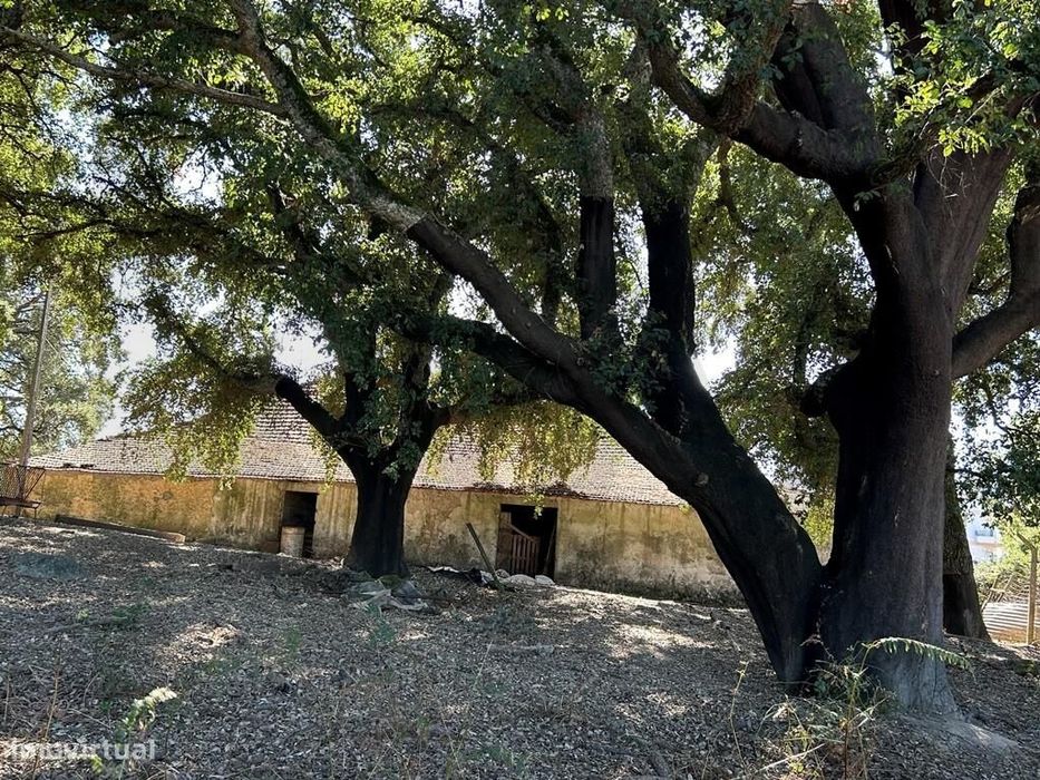 4,3 ha Com Ruínas e Potencial Construtivo Sem Precedentes. O Ativo Imo